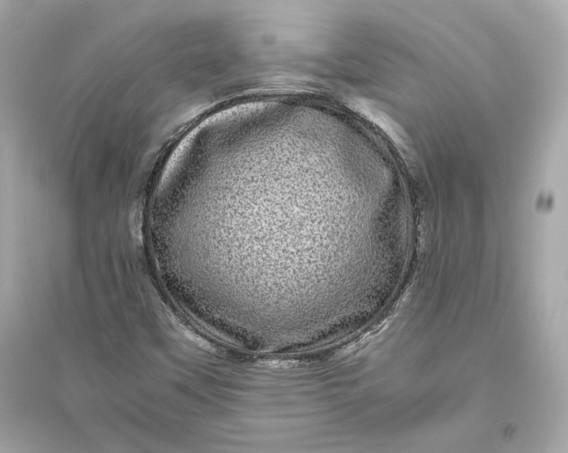 X0000094821451200711301619