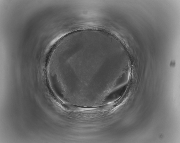X0000094821453200711301619