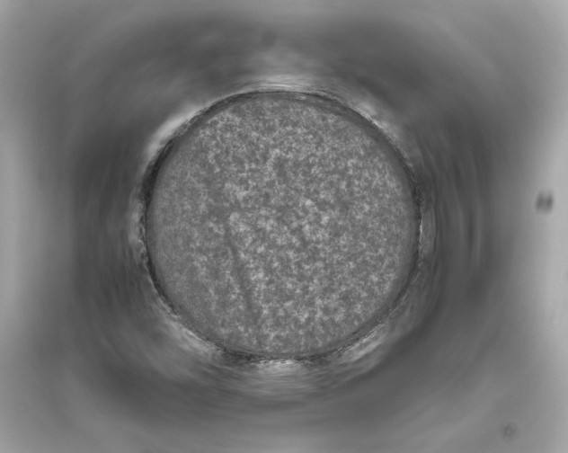 X0000094821454200711301619