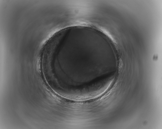 X0000094821455200711301619