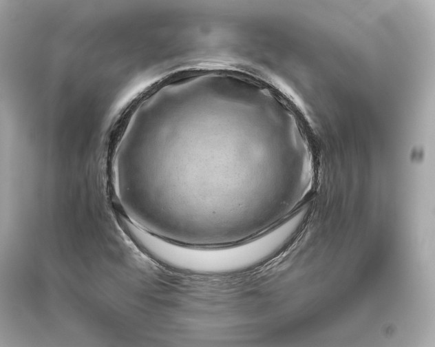 X0000094821456200711301619