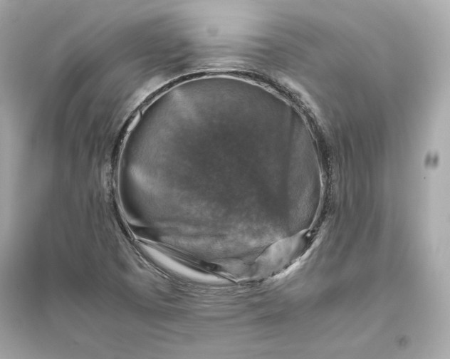 X0000094821457200711301619