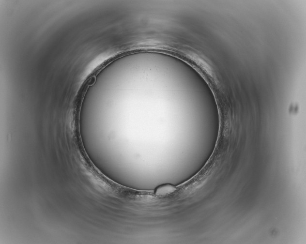 X0000094821458200711301619