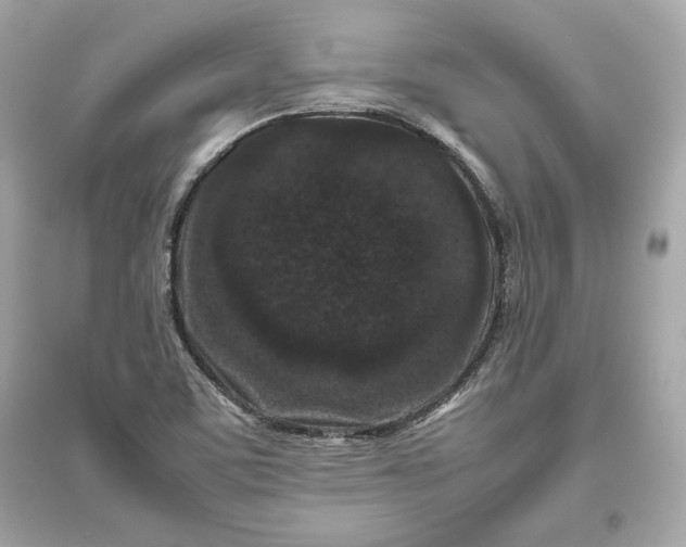 X0000094821459200711301619