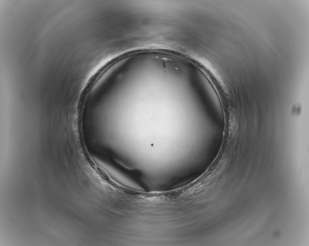 X0000094821460200711301619