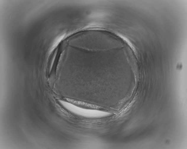 X0000094821461200711301619