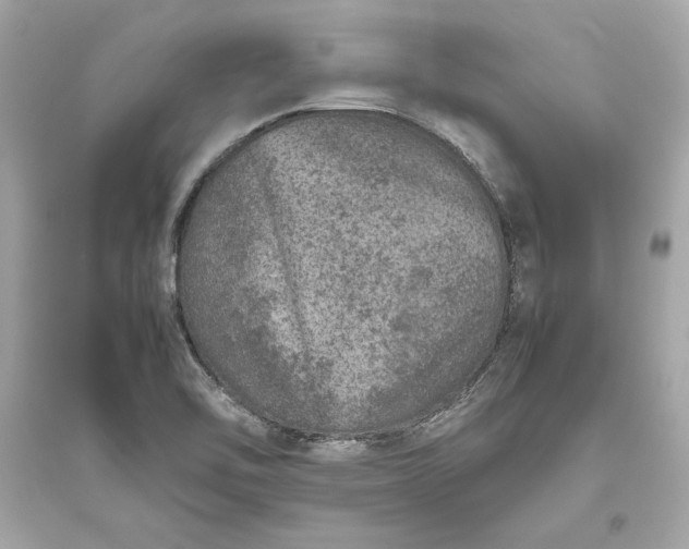 X0000094821462200711301619