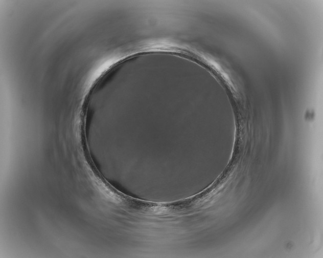X0000094821463200711301619