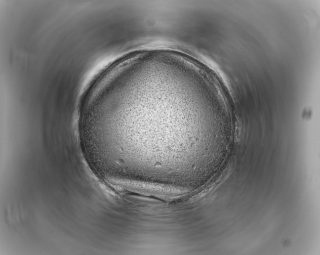 X0000094821464200711301619