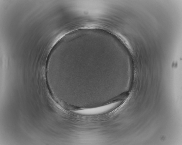 X0000094821465200711301619