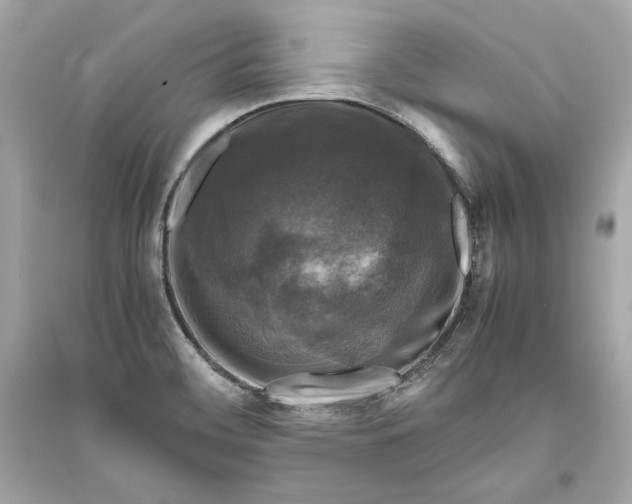X0000094821468200711301619