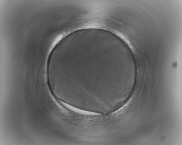 X0000094821469200711301619