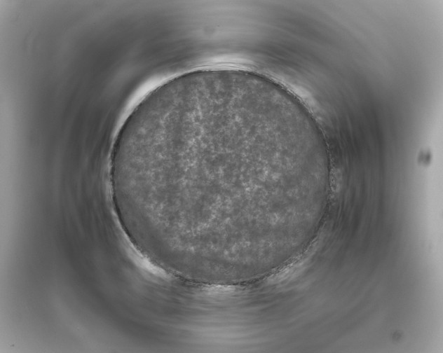 X0000094821470200711301619
