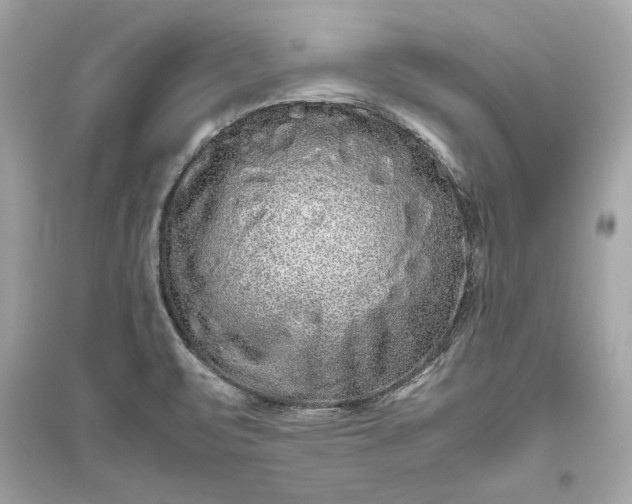 X0000094821471200711301619
