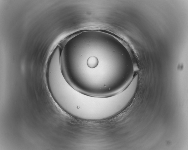X0000094821472200711301619