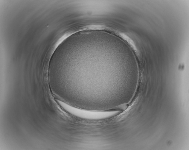 X0000094821473200711301619