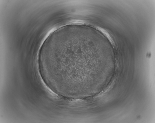 X0000094821475200711301619