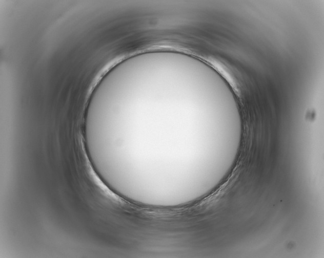 X0000094821476200711301619