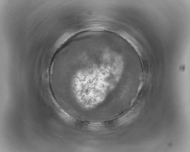 X0000094821477200711301619