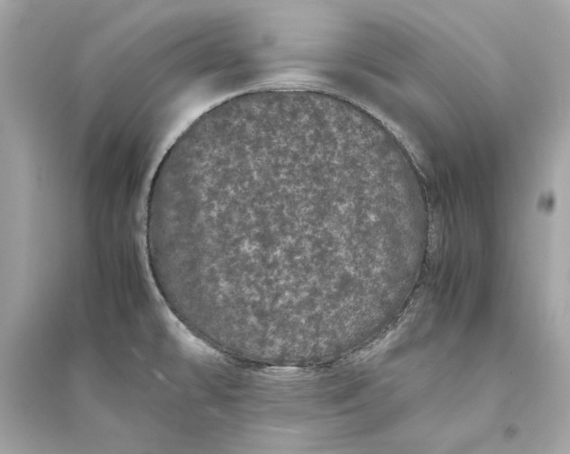X0000094821478200711301619