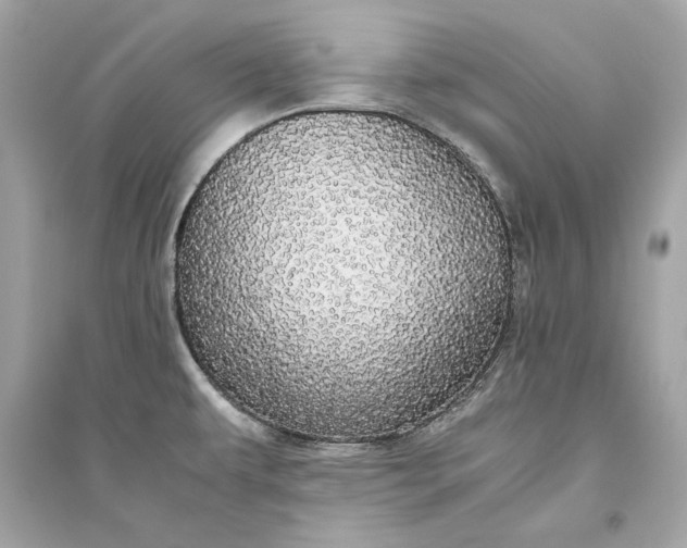 X0000094821479200711301619