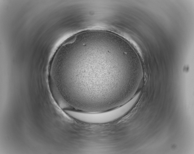 X0000094821480200711301619
