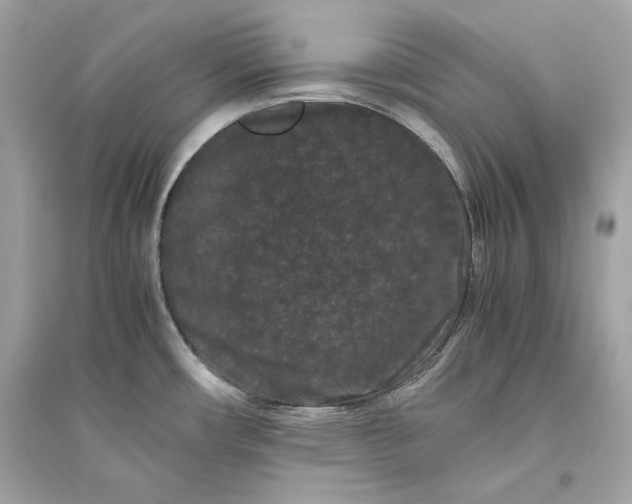 X0000094821482200711301619
