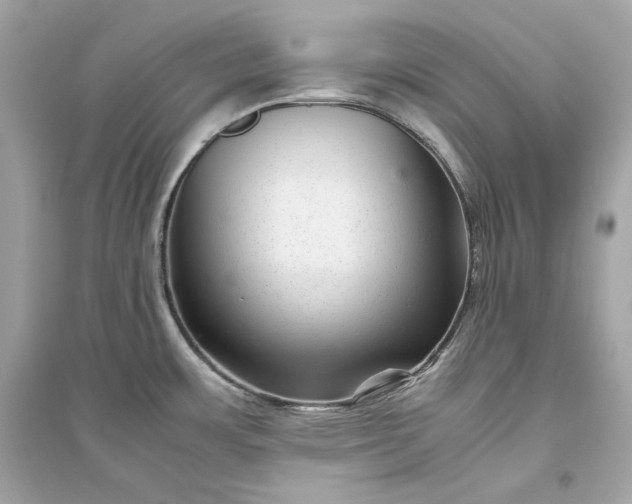 X0000094821483200711301619