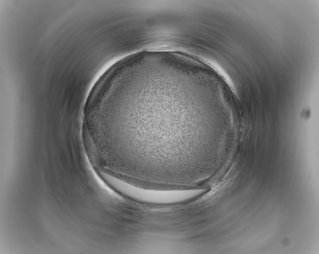 X0000094821484200711301619