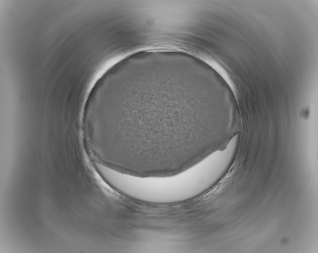 X0000094821485200711301619
