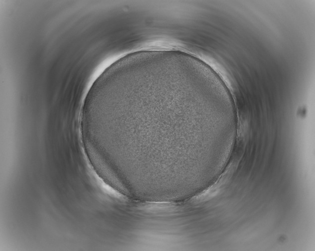 X0000094821486200711301619