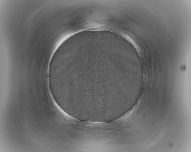X0000094821487200711301619