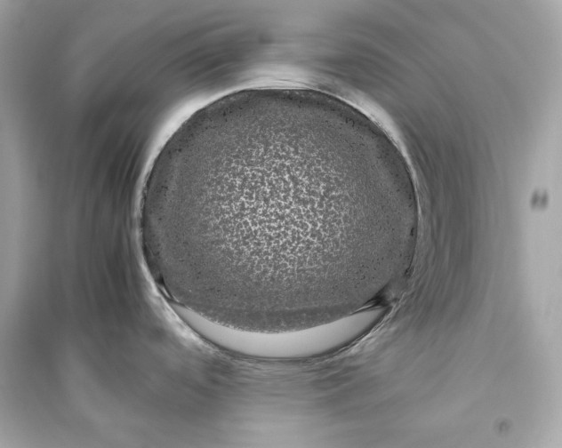 X0000094821488200711301619
