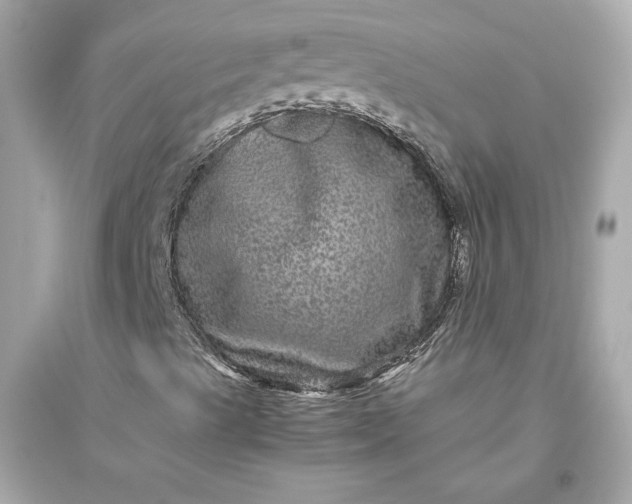 X0000094821489200711301618