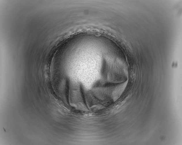 X0000094821490200711301618