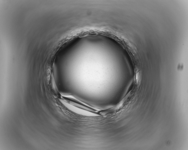 X0000094821492200711301618