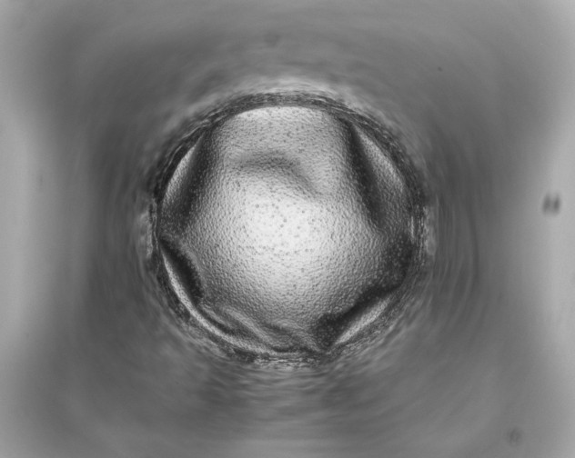 X0000094821493200711301618