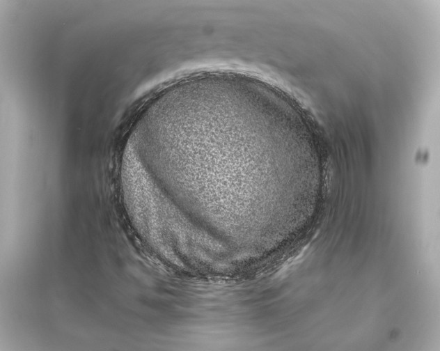X0000094821494200711301618