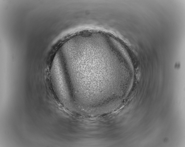X0000094821495200711301618