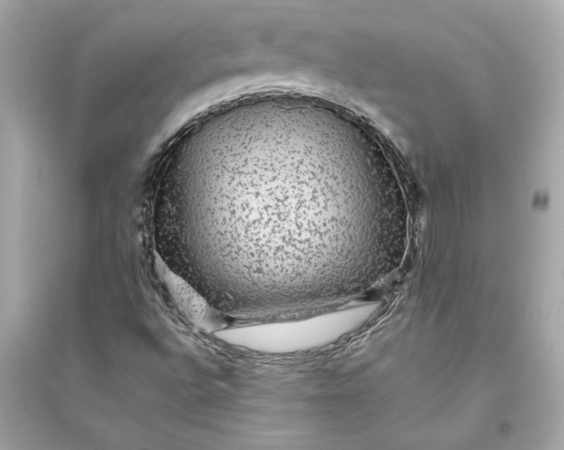 X0000094821496200711301618