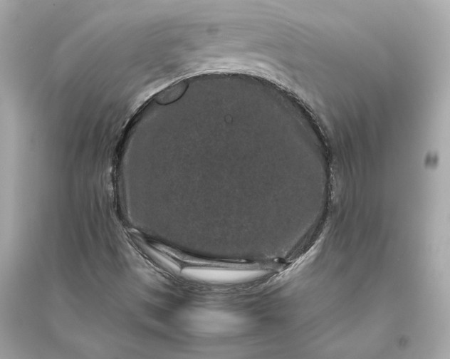 X0000094821497200711301618