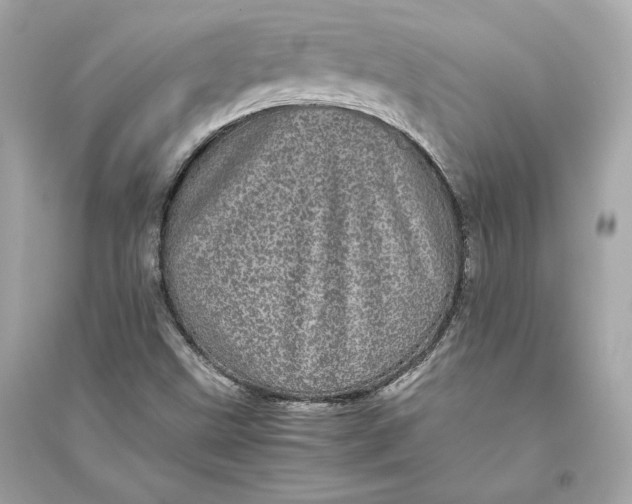 X0000094821499200711301618