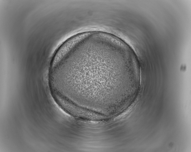 X0000094821500200711301618