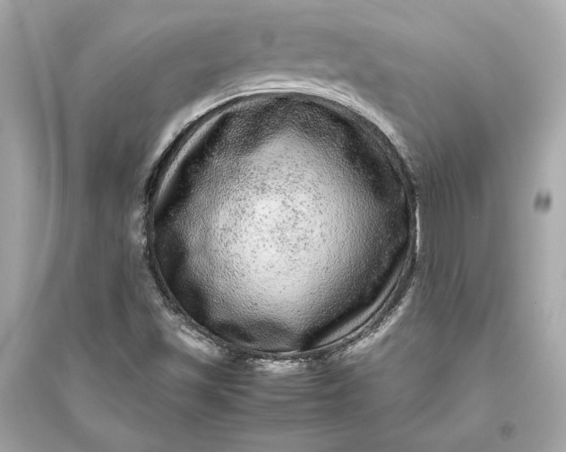 X0000094821501200711301618