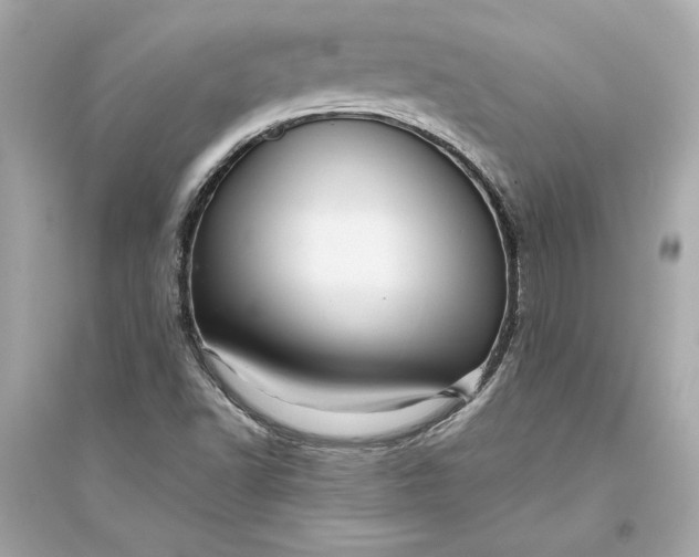 X0000094821502200711301618