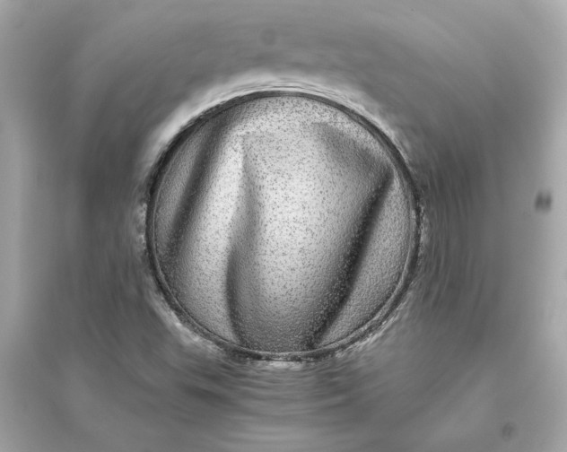 X0000094821503200711301618