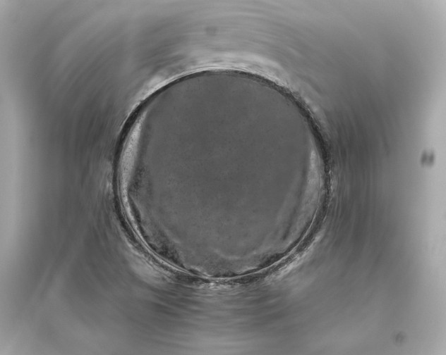 X0000094821505200711301618