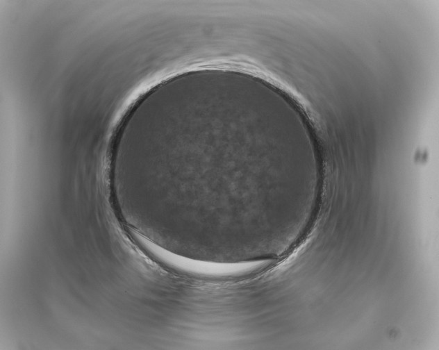 X0000094821506200711301618
