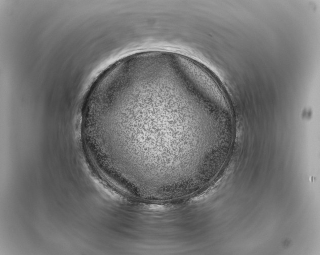 X0000094821507200711301618