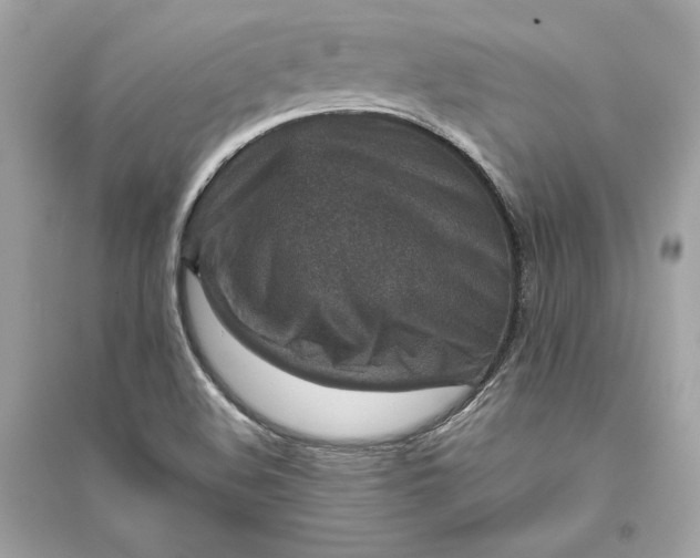 X0000094821508200711301618